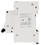 фото Автоматический выключатель Systeme Electric C9F14310