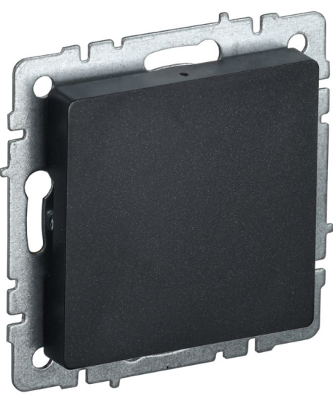 Изображение товара Заглушка IEK BR-PL10-K02 из серии Brite для электроустановок