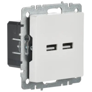 фото Розетка IEK BR-U21-D31-K01