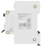 фото Автомат Systeme Electric C9D55610