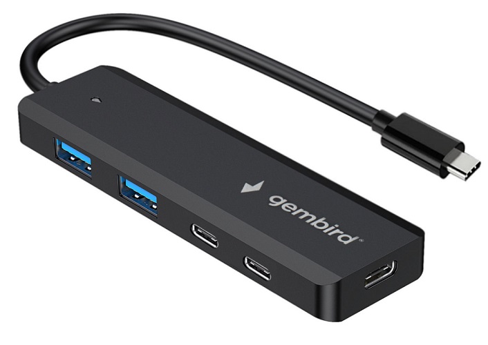 

Разветвитель USB 3.1 Gembird UHB-C425 2xUSB, 2xType-C, с доп.питанием (порт Type-C),кабель Type-C 19см, черный, UHB-C425