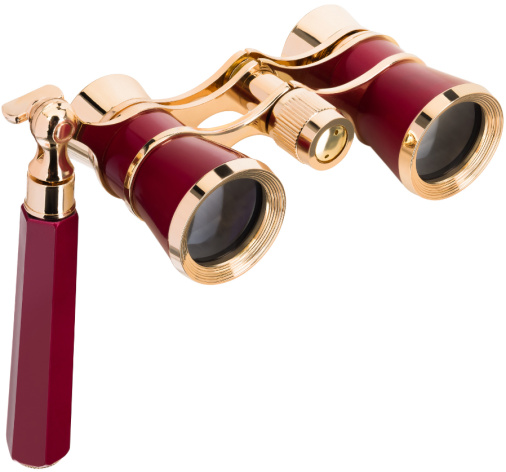 фото Бинокль  Levenhuk Broadway 325E в Санкт-Петербургe