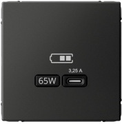 фото Розетка USB Systeme Electric GAL001427