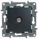 фото Розетка  Legrand 672665 в Омске
