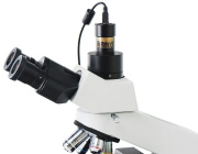 фото Видеоокуляр ToupCam SCMOS00920KPA