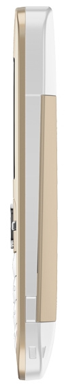фото Мобильный телефон  Nokia C3-00 Golden White