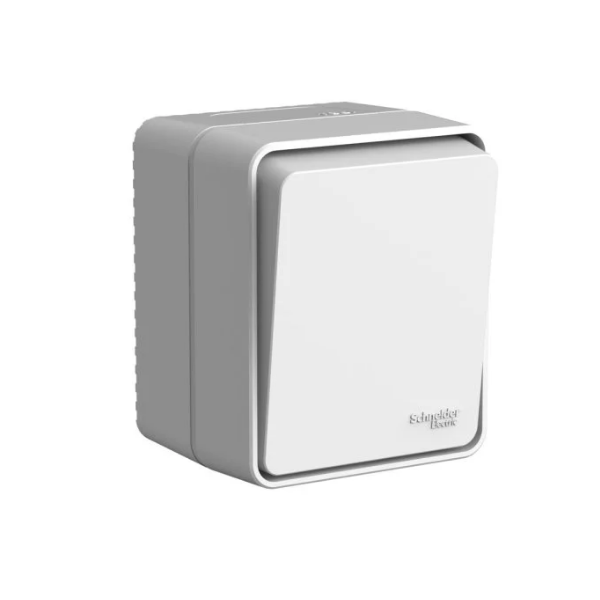 

Выключатель Systeme Electric ATN543015 AtlasDesign Profi54 Наруж Серый 1-клавишный с самовозвратом 10 АХ, ATN543015
