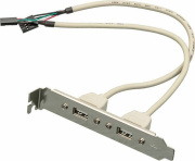фото Адаптер ASIA ASIA BRACKET USB 2.0 2 PORT