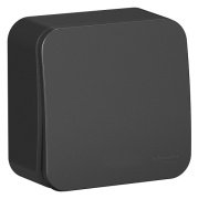 фото Выключатель Systeme Electric BLNVA101006