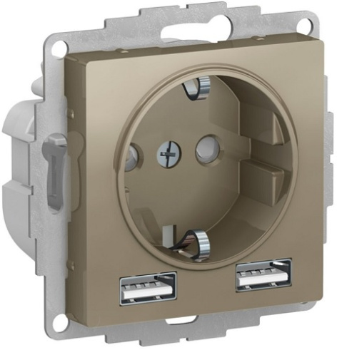 фото Розетка с заземлением с 2 USB  Systeme Electric ATN000530 в Уфе