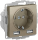 фото Розетка с заземлением с 2 USB  Systeme Electric ATN000530 в Уфе