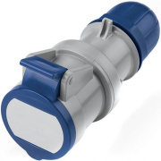 фото Розетка DKC DIS3131643