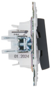 фото Выключатель двухклавишный с подсветкой IEK SK-V20-1-10-K53