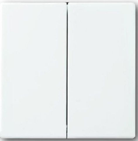 Изображение товара Клавиша ABB 2CKA001751A3076 для электромонтажа серия BJE Solo / Future