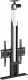 фото Кронштейн  Cactus CS-STM-7844 в Уфе