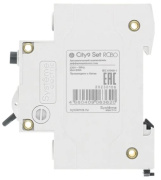 фото Автомат Systeme Electric C9D34620