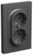 фото Розетка двухместная с заземлением  Systeme Electric ATN001426 в Уфе