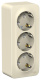фото Розетка  Systeme Electric BLNRA011312 в Перми