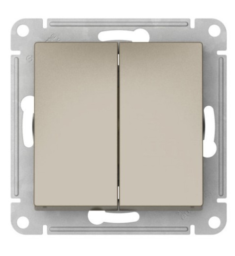 фото Выключатель двухклавишный  Systeme Electric ATN000551S в Самаре