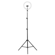 фото Светильник напольный Camelion KD-810F С02