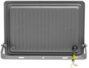 фото Прожектор WOLTA WFL-100W/07