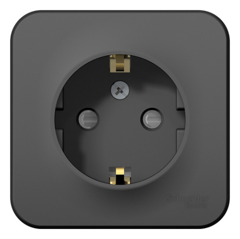 фото Розетка  Systeme Electric BLNRA011116 в Екатеринбурге