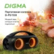 фото Портативная акустика  Digma D-PS1530 в Санкт-Петербургe