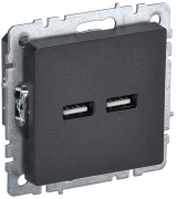 фото Розетка IEK BR-U21-D31-K02