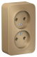 фото Розетка  Systeme Electric BLNRA000214 в Екатеринбурге