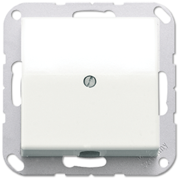 

Вывод кабеля Jung AS590AWW антибактериальный с разгрузкой натяжения AS 500 белый, AS590AWW