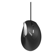 фото Мышь Rapoo EV200