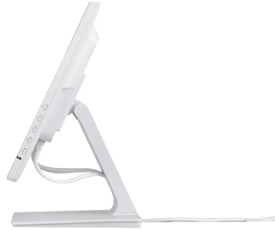 фото Монитор 23,8" Iiyama PROLITE T2452MSC-W1 в Екатеринбурге