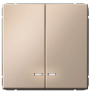 фото Выключатель двухклавишный  Systeme Electric GAL001251