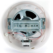 фото Громкоговоритель Roxton WP-10T