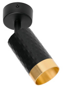 фото Светильник WOLTA WSL-GU10/S10BG