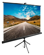 фото Экран Cactus CS-PSTE-160X160-BK