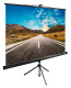 фото Экран  Cactus CS-PSTE-160X160-BK