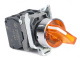 фото Переключатель  Systeme Electric SB4BK135B5 в Уфе