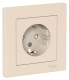 фото Розетка  Systeme Electric ATN000244 в Екатеринбурге