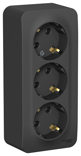 фото Розетка  Systeme Electric BLNRA010316 в Омске