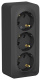 фото Розетка  Systeme Electric BLNRA010316 в Омске
