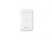 фото Считыватель HIKVISION DS-PT1-WE