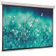 фото Экран  Viewscreen Scroll WSC-1102 в Уфе