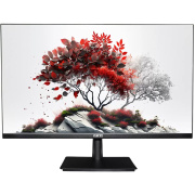 фото Монитор RDW Computers RDW2701K