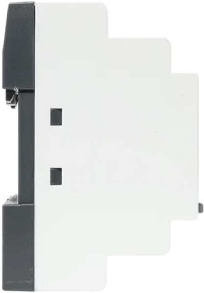 фото Реле программируемое EKF PRL100-12-R-AC в Уфе