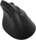 фото Мышь Wireless Oklick 688MW ERGO в Санкт-Петербургe