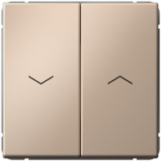 фото Выключатель двухклавишный  Systeme Electric GAL001219