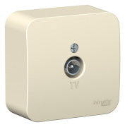 фото Розетка Systeme Electric BLNTA000012