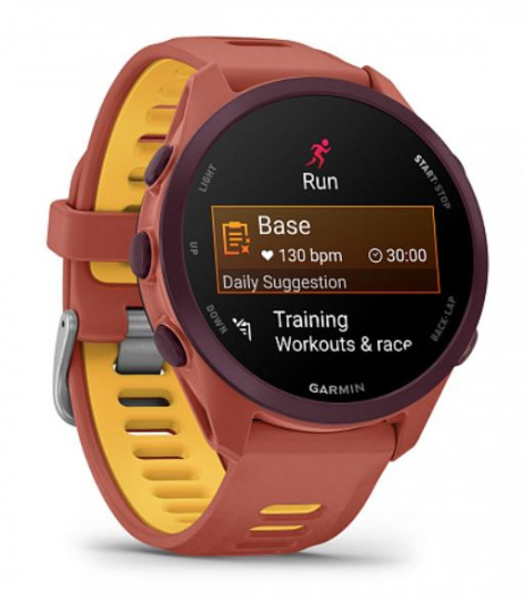 фото Часы  Garmin Forerunner 170