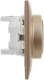 фото Розетка двухместная с заземлением в сборе IEK SK-R24-16-K98-F